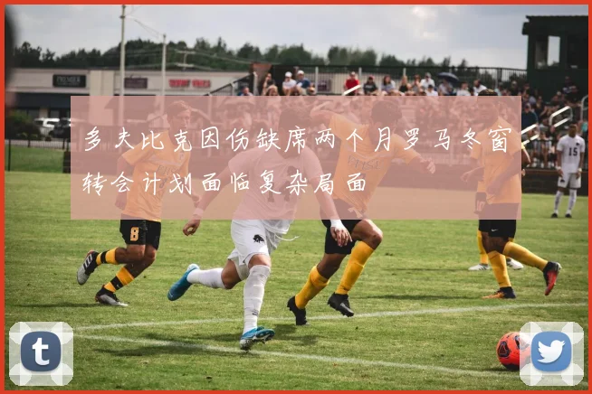 多夫比克因伤缺席两个月罗马冬窗转会计划面临复杂局面