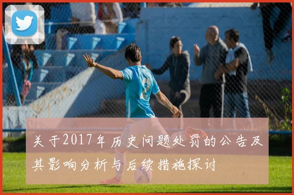关于2017年历史问题处罚的公告及其影响分析与后续措施探讨
