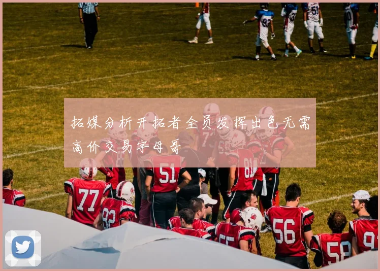 拓媒分析开拓者全员发挥出色无需高价交易字母哥