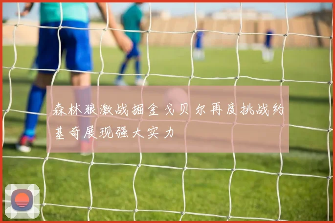森林狼激战掘金戈贝尔再度挑战约基奇展现强大实力